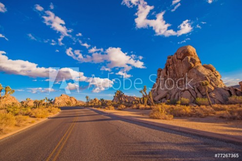 Picture of Joshua Tree National Park